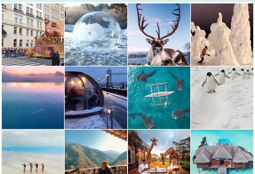 The widget on a site, showing a grid of twelve photos pulled from the brand's social accounts.